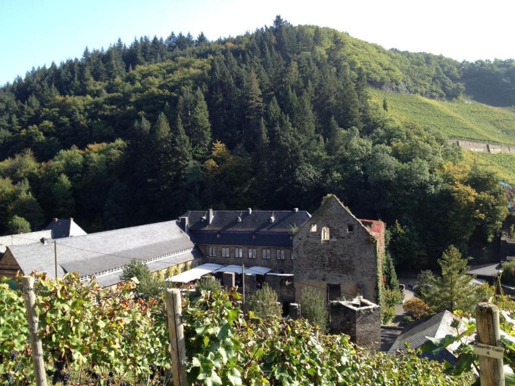 Ferienwohnung Landskroner Blick Bad Neuenahr-Ahrweiler Buitenkant foto
